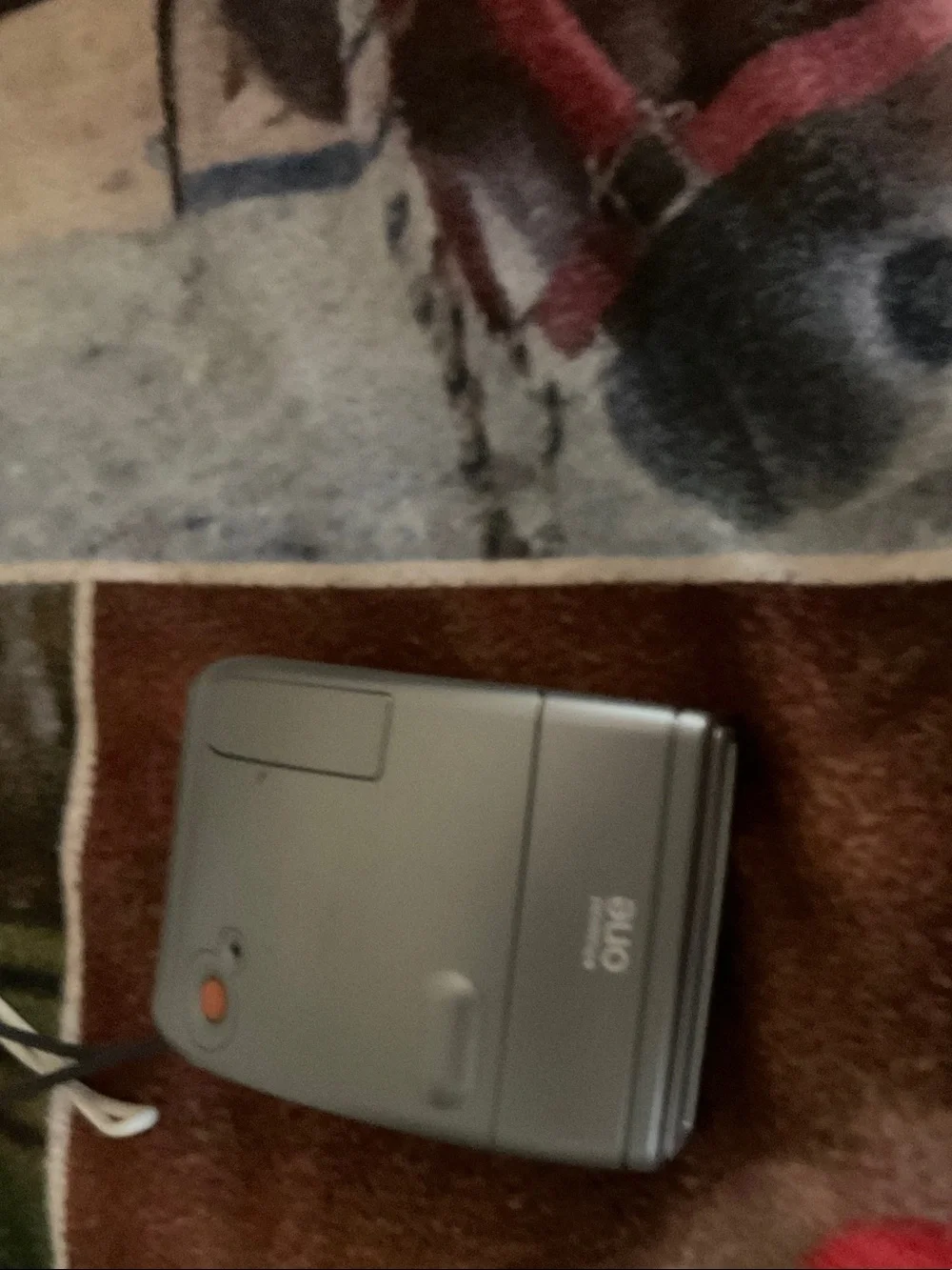 Polaroid Cameras and Chargers in Gray, Dark Gray, White